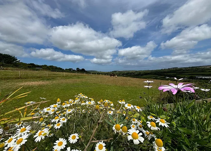 Meadow View Barn, Rural St Ives, Cornwall. Brand New 2 Bedroom Idyllic Contemporary Cottage With Log Burner.