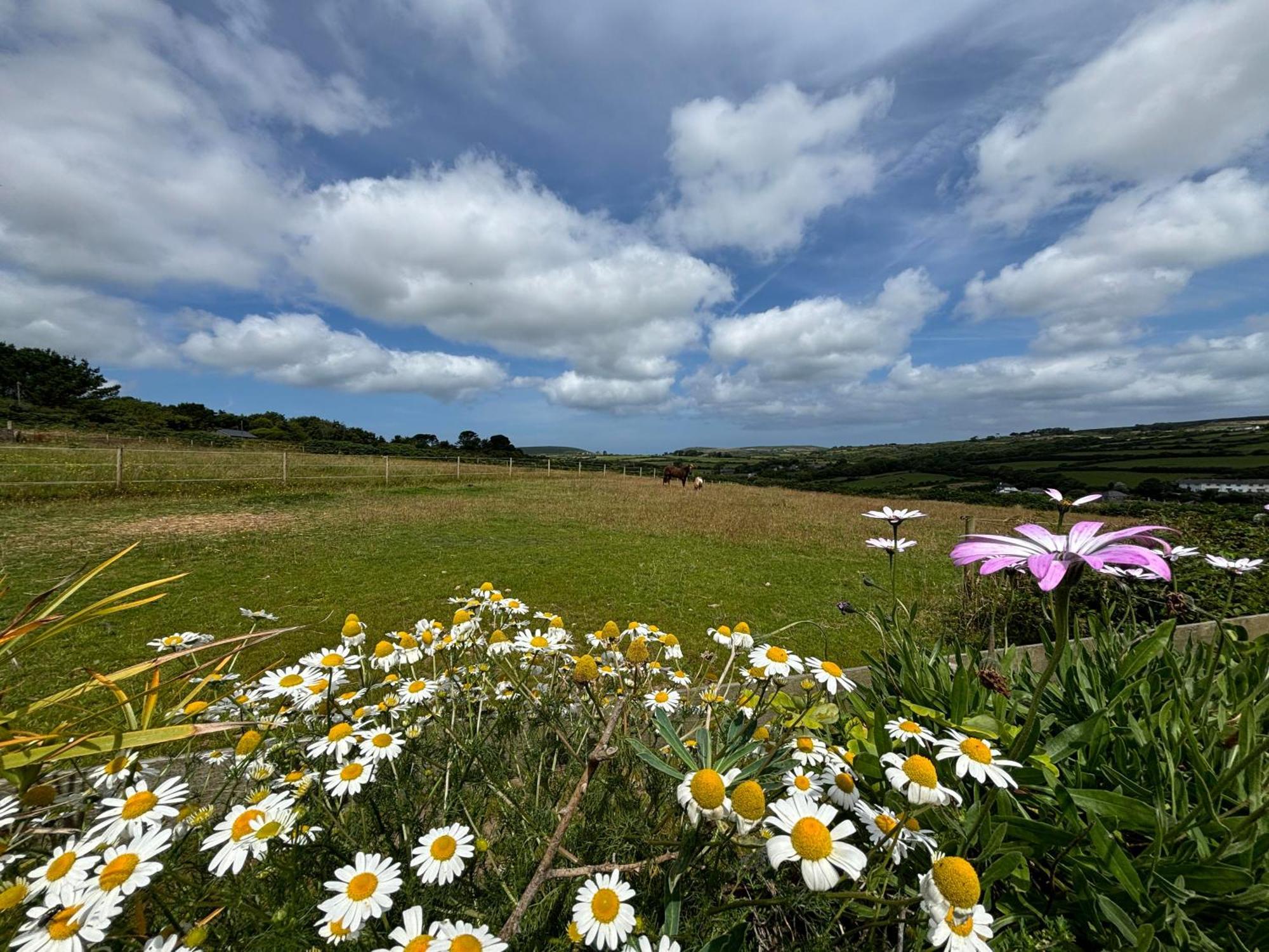 Meadow View Barn, Rural St Ives, Cornwall. Brand New 2 Bedroom Idyllic Contemporary With Log Burner. Nancledra